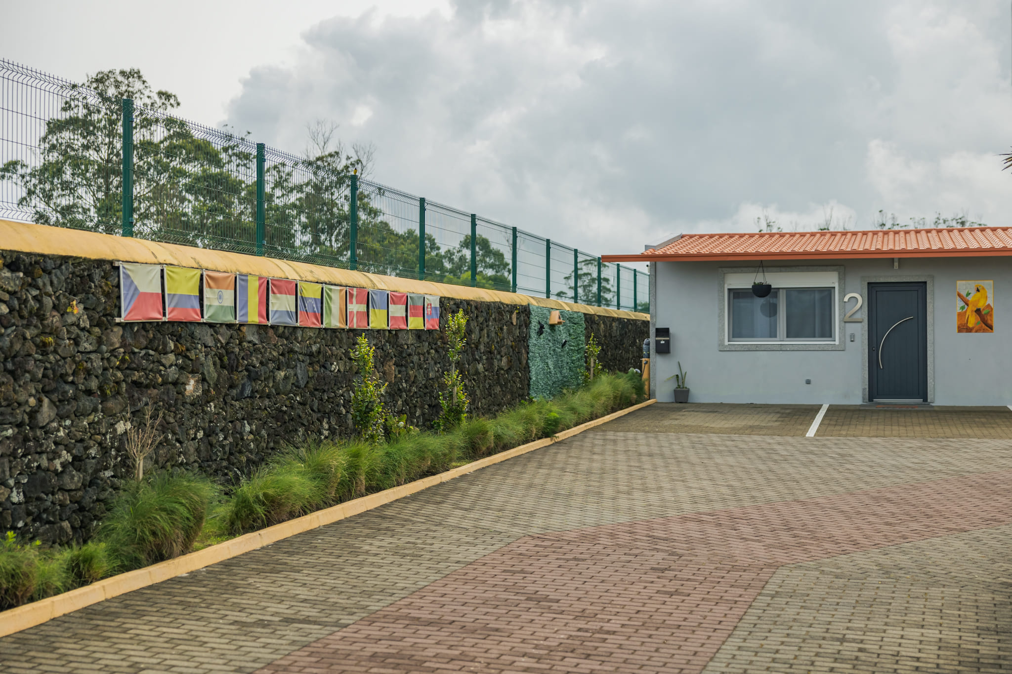 Parrots village-61
