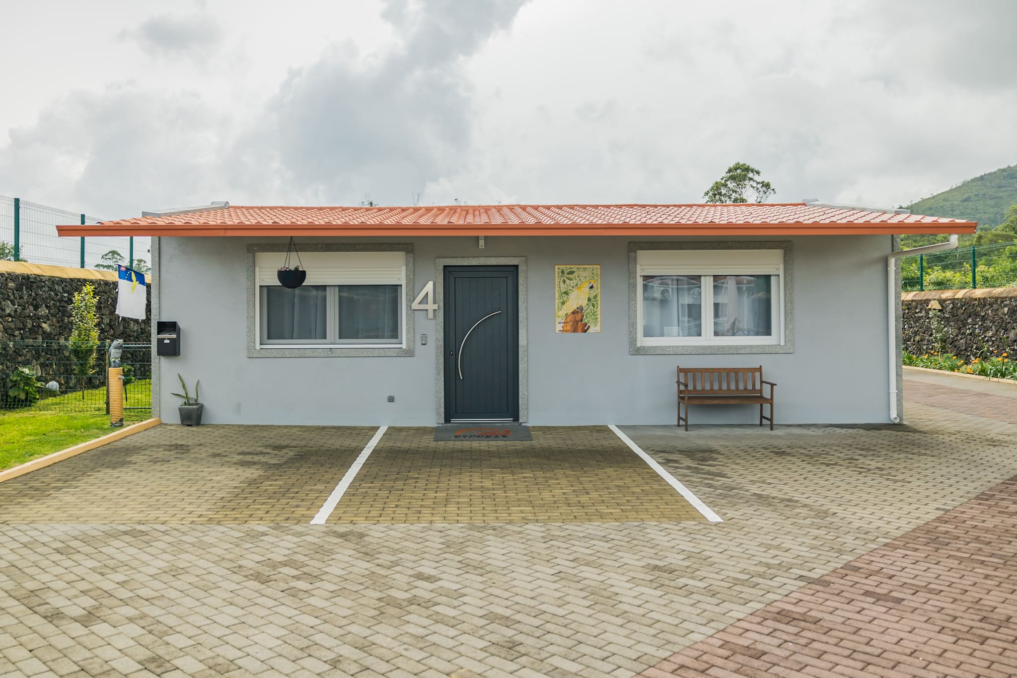 Parrots village-71